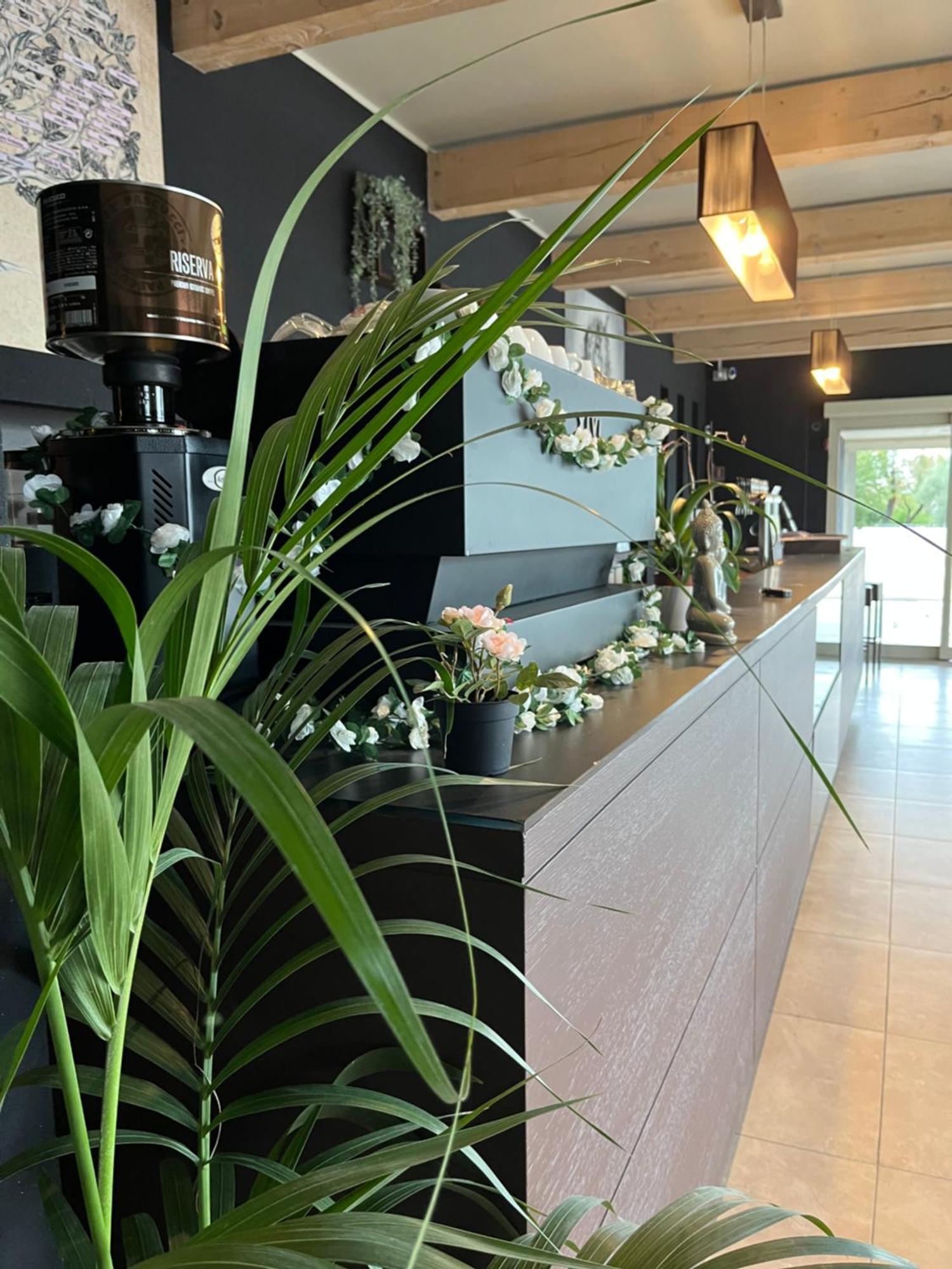 Bed & Breakfast La Rondinella Cerasolo Extérieur photo