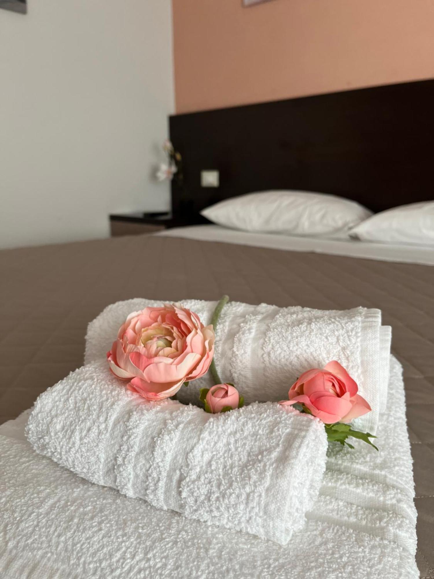 Bed & Breakfast La Rondinella Cerasolo Extérieur photo